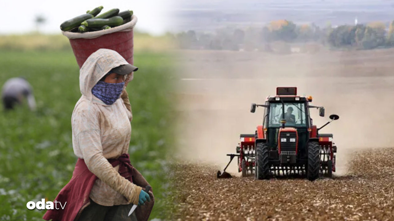 ciftcinin borcu 1 trilyonu asti hasat almadigi tarla traktor satista ce96ZLy8