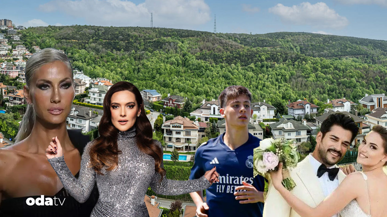 sosyetik sitede fare panigi acarkent alarma gecti whYAHWYH