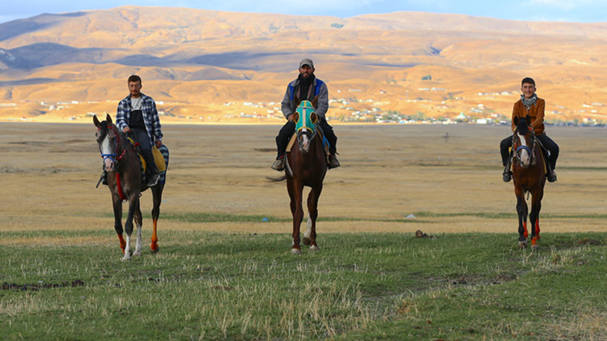 bingolde at yetistiriciligi kulturel miras olarak yasatiliyor nBgIKvEM