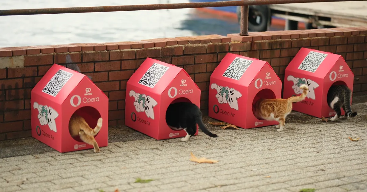 opera kedi mahallesi olusturmak icin haciko ile guclerini birlestirdi aOcsFS4O.webp