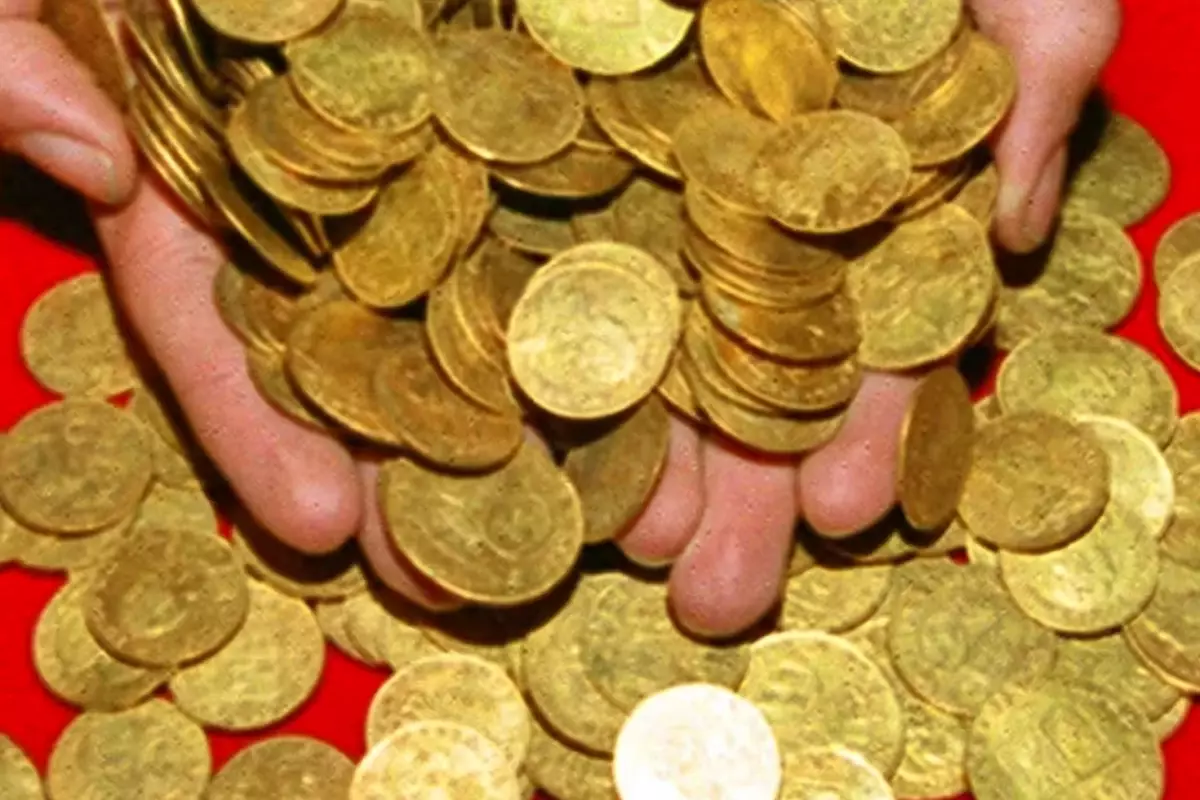 yuzme havuzu kazarken hayati degisti bir kurek darbesiyle servet buldu ZsKZ31Ma.jpg