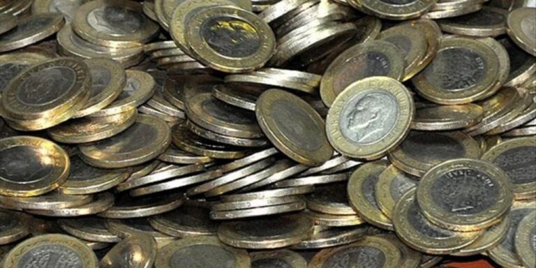 nerede-bu-paralar-1-lira-alarmi-J2YfTVed.jpg