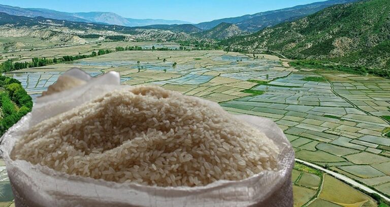 tosya-pirinci-tarihe-karisacak-uSGhPCHn.jpg